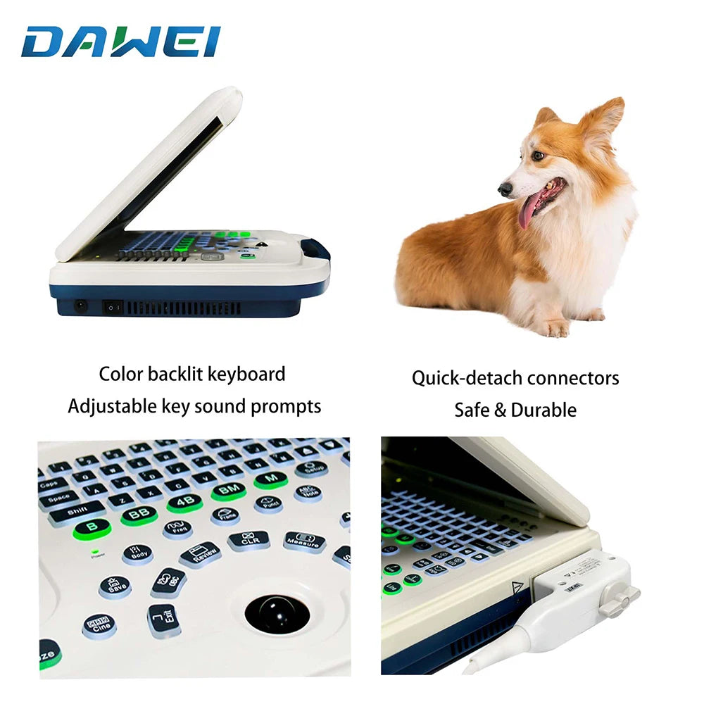 DAWEI Portable Veterinary Ultrasound Scanner For Dogs And Cats