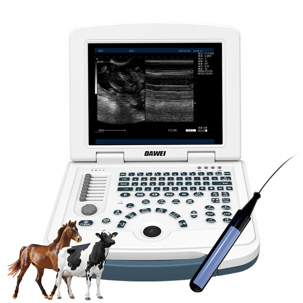 DAWEI Portable Veterinary Ultrasound Scanner For Dogs And Cats