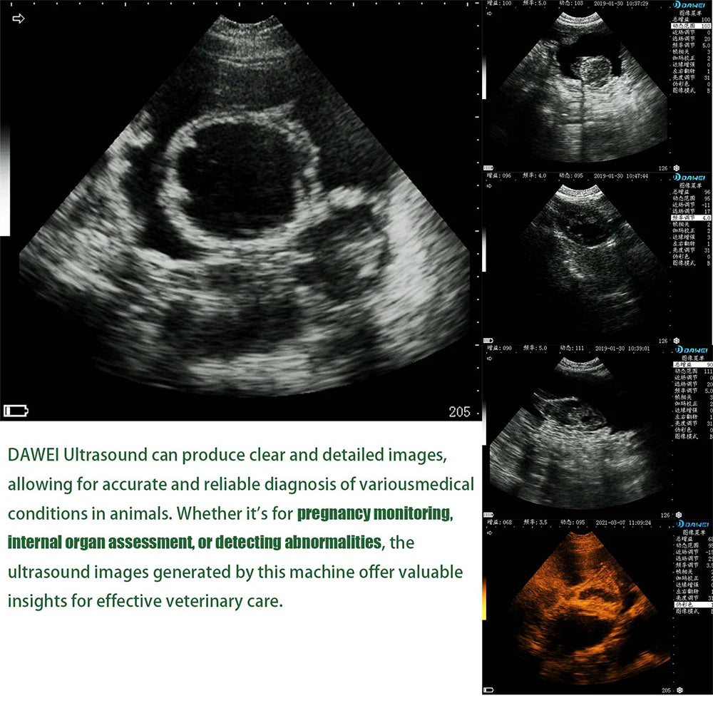 DAWEI Portable Veterinary Ultrasound Scanner With Convex Probe