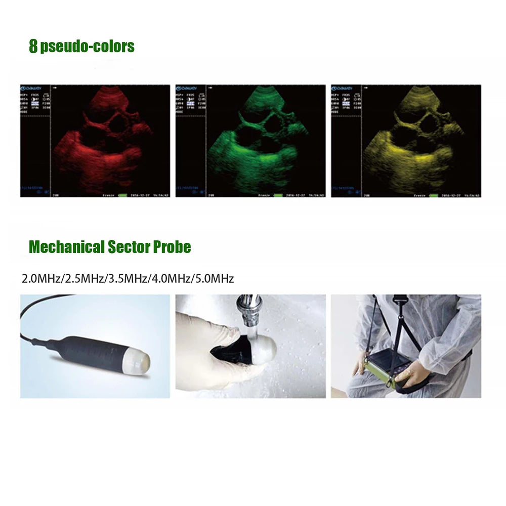 DAWEI Portable Veterinary Ultrasound Scanner With Convex Probe