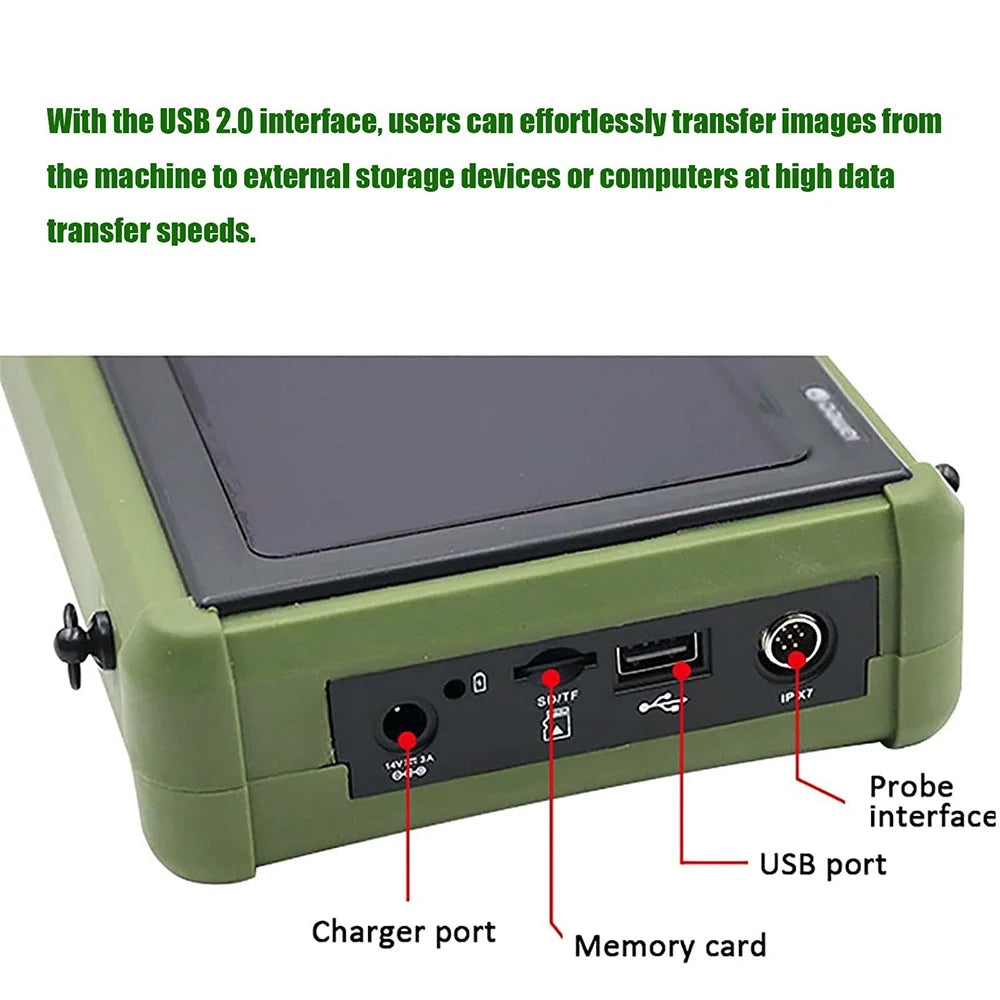 DAWEI Portable Veterinary Ultrasound Scanner With Convex Probe