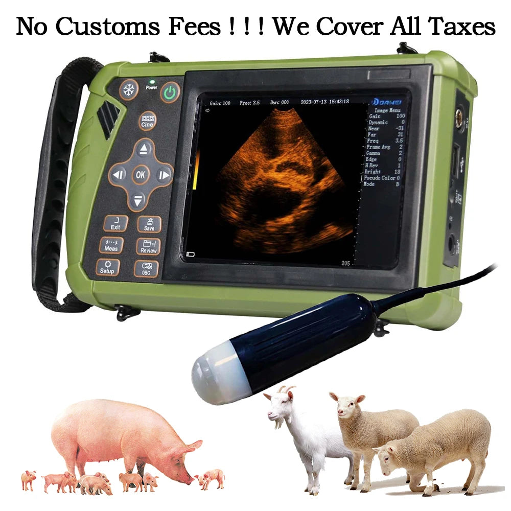 DAWEI Portable Veterinary Ultrasound Scanner With Convex Probe