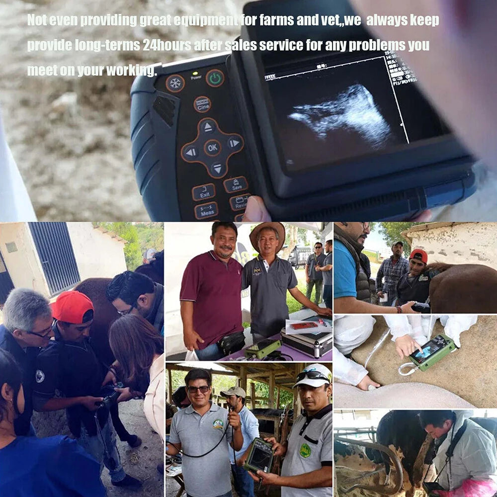 DAWEI Portable Veterinary Ultrasound Scanner With Convex Probe