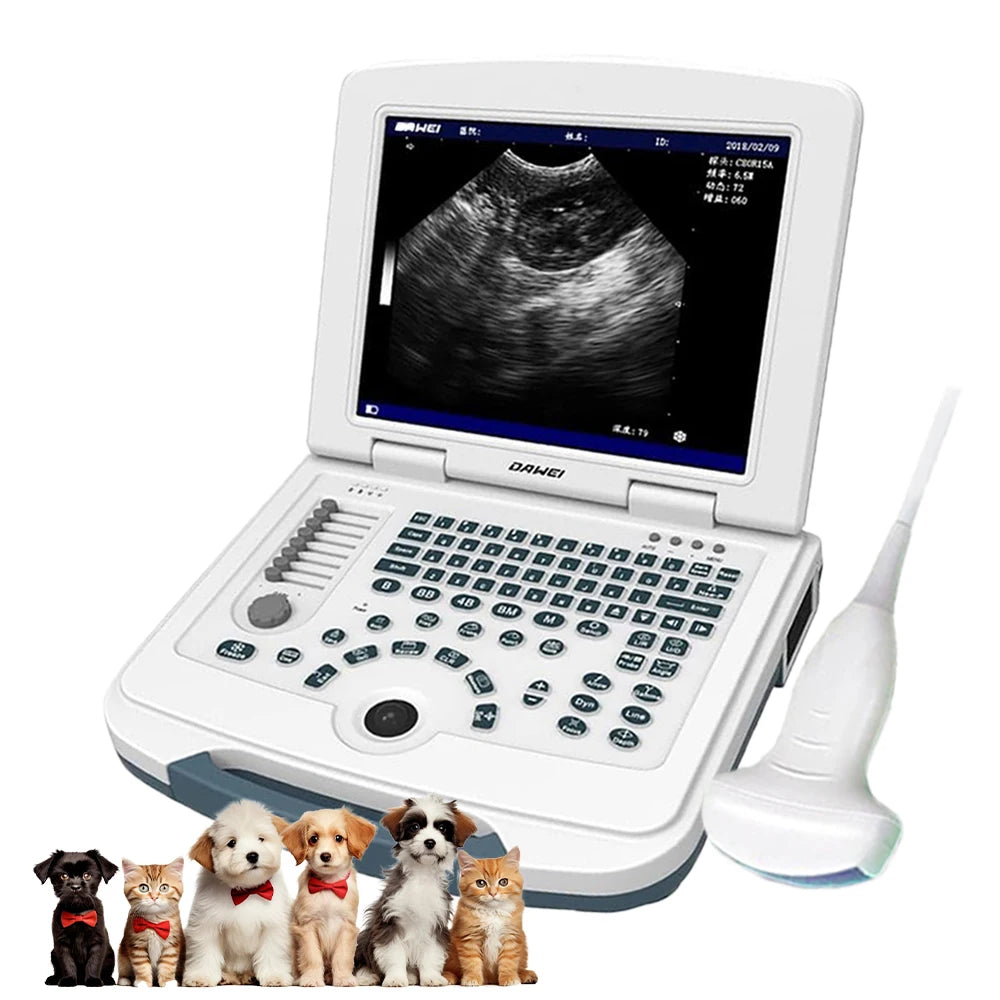 DAWEI Portable Veterinary Ultrasound Scanner For Dogs And Cats