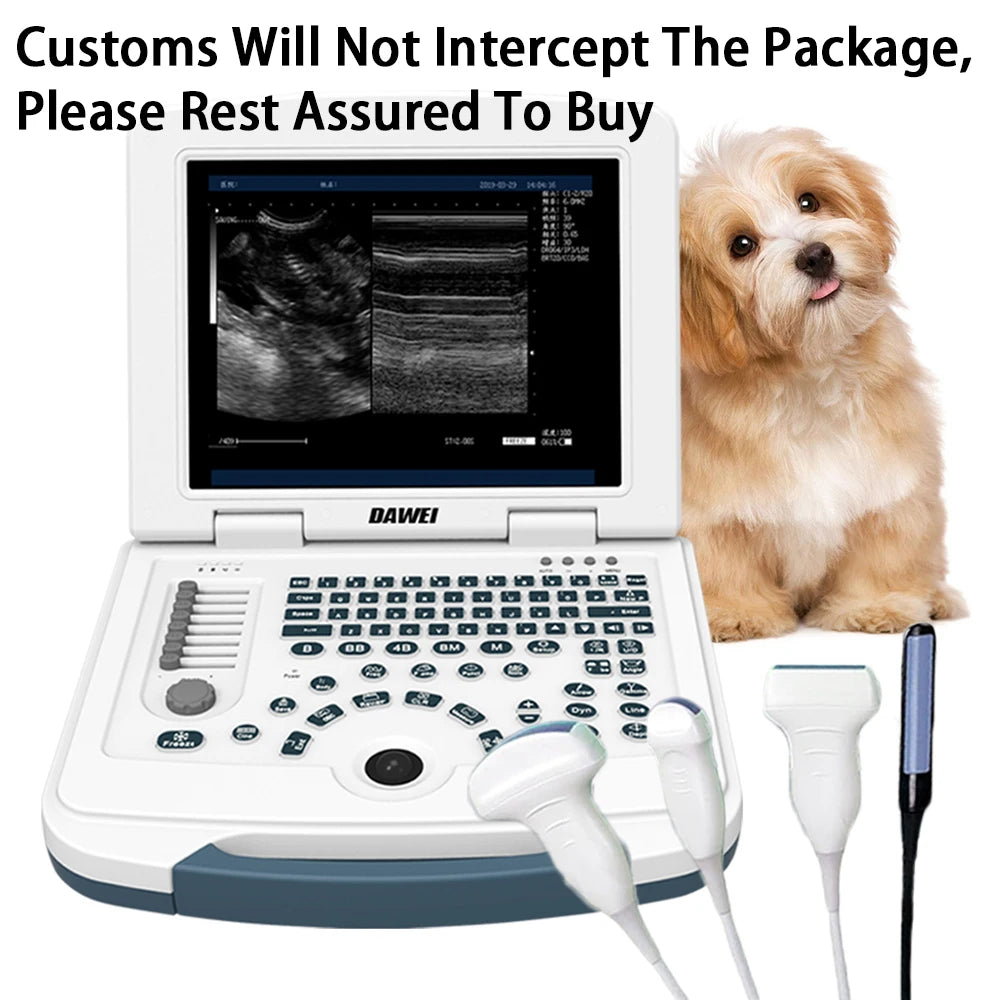 DAWEI Portable Veterinary Ultrasound Scanner For Dogs And Cats