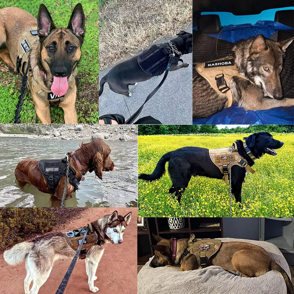 Petravel Tactical Military Dog Training Vest Harness Set
